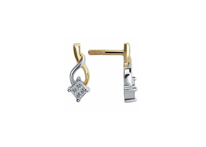 2 Tone Plated | Fashion Earrings
